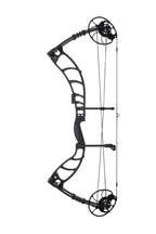 2025 Nova Bow